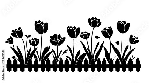 Tulips in a raised garden bed with a picket fence background, Plant Illustration