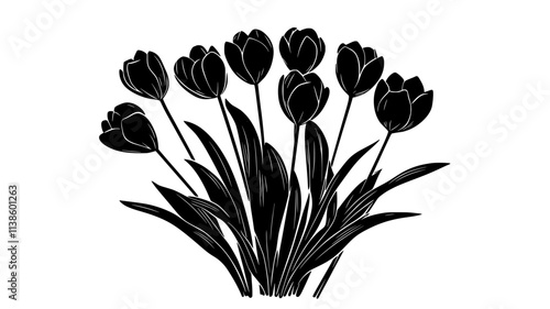 Tulips organized in a symmetrical bouquet, stems tightly bound together, Plant Illustration