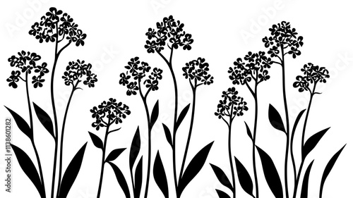 Valerian plant with clusters of small flowers in field, Plant Illustration
