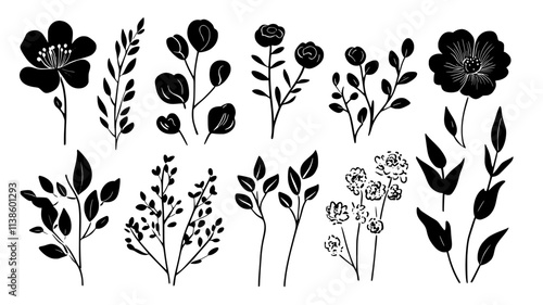 Various flowers laid out, prepared for a formal arrangement in a floral shop, Plant Illustration
