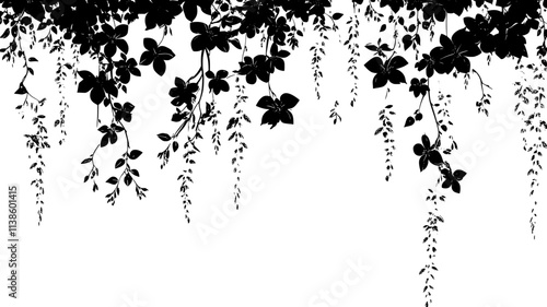 Winter jasmine cascading over a wall with flowers, Plant Illustration