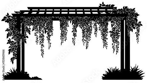 Wisteria draping over a pergola in a backyard landscape, Plant Illustration