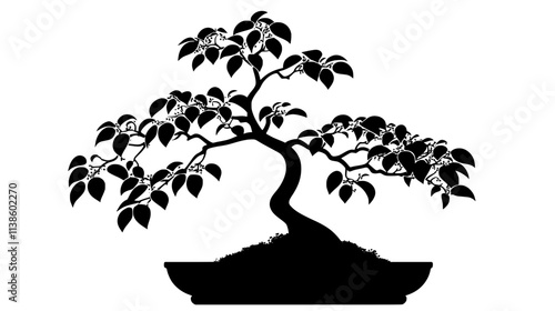 Elm bonsai with small leaves in informal upright style, Plant Vector Graphic