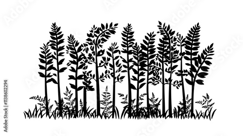 Wallpaper Mural Ferns growing under canopy of trees in forest, Plant Vector Graphic Torontodigital.ca