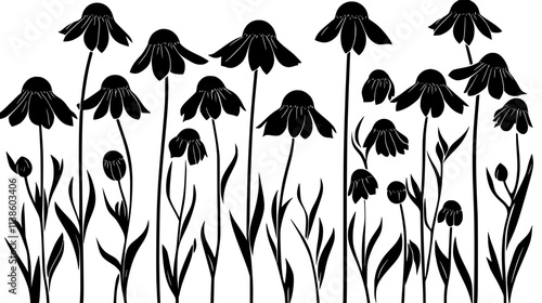 Helenium plants with dome-shaped flower heads in a border garden, Plant Vector Graphic