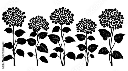 Hydrangea bush covered in large flower heads, various shades of blue and pink, Plant Vector Graphic