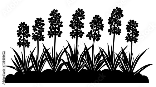 Hyacinths growing in a garden bed, surrounded by natural greenery, Plant Vector Graphic
