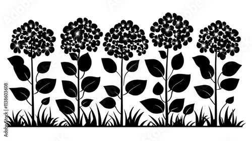 Hydrangea plant with multiple flower heads in a garden setting, Plant Vector Graphic