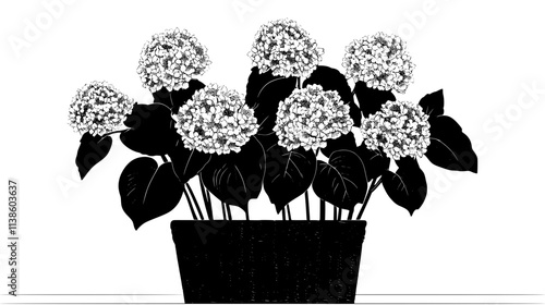 Hydrangeas in woven basket placed near window sill, Plant Vector Graphic
