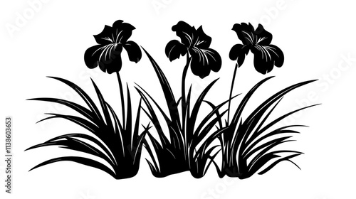 Iris plant with sword-like leaves and multiple flower stalks, Plant Vector Graphic