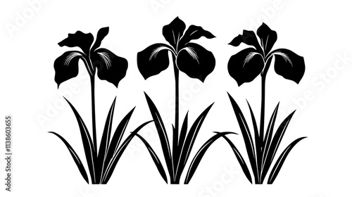 Iris flower with three upright petals and three drooping sepals, Plant Vector Graphic