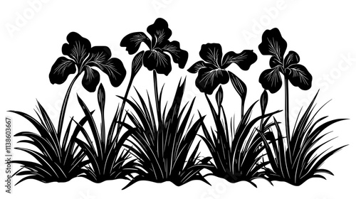 Iris plants with sword-like leaves and flowers in a garden bed, Plant Vector Graphic