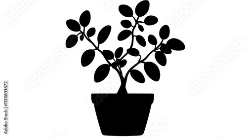 Jade plant with oval leaves on woody stems in an indoor pot, Plant Vector Graphic