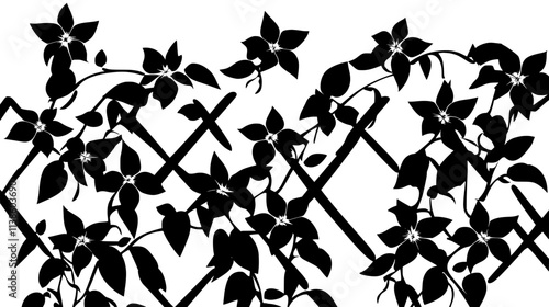 Jasmine vine with star-shaped flowers growing on a trellis, Plant Vector Graphic