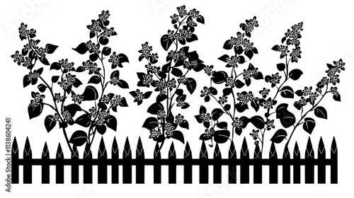 Lilac bush in full bloom near a white picket fence, Plant Vector Graphic