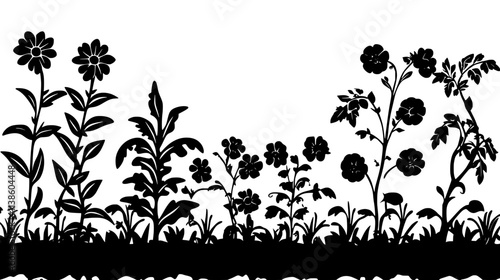 Marigolds bordering a vegetable patch with tomato plants, Plant Vector Graphic