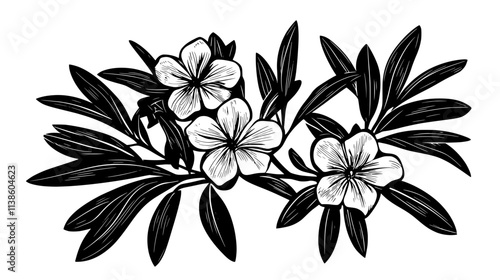 Oleander shrub covered in blooms with narrow leaves, Plant Vector Graphic