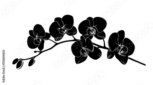 Orchid flower viewed from the side showing petal and sepal arrangement, Plant Vector Graphic