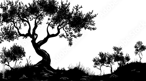 Olive tree with gnarled trunk in terraced hillside grove, Plant Vector Graphic