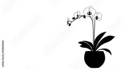 Orchid plant in ceramic pot on bedside table, Plant Vector Graphic