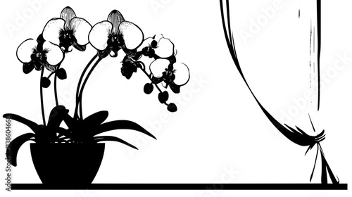 Orchids on a shelf near a window with sheer curtains, Plant Vector Graphic