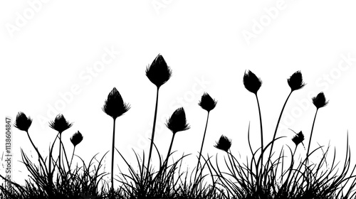 Pasqueflower blooms emerging from furry buds on tundra, Plant Vector Graphic