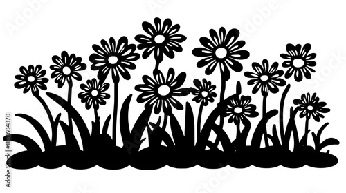 A patch of daisies growing naturally in a meadow, surrounded by grass, Plant Vector Graphic
