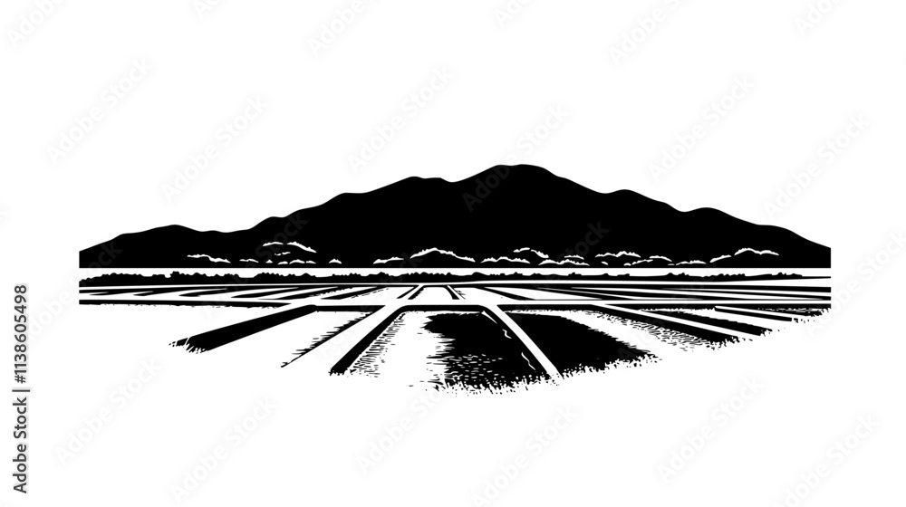 Fototapeta premium Rice paddies fed by water circulating from tilapia ponds, Plant Vector Graphic