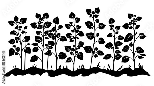 Ramie stalks ready for harvest in an agricultural plot, Plant Vector Graphic