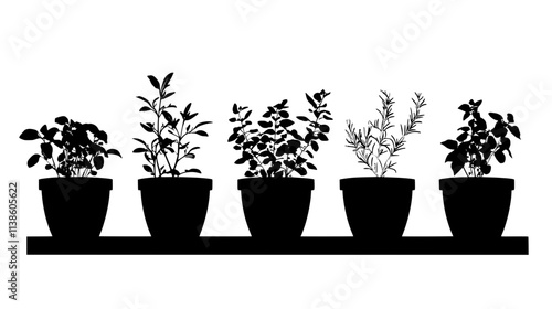Row of herb pots on kitchen windowsill, Plant Vector Graphic
