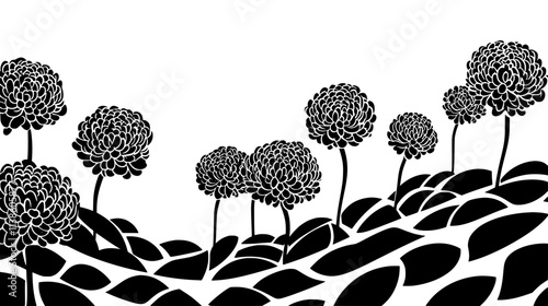 Rows of chrysanthemums growing in a formal garden during autumn, Plant Vector Graphic