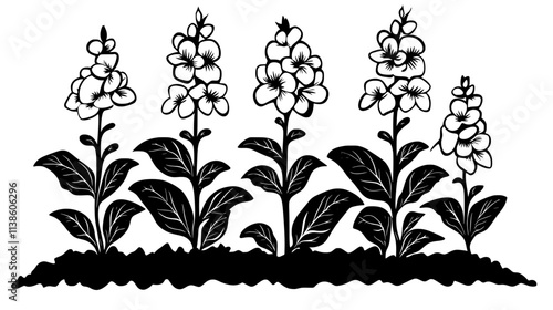 Snapdragons blooming in a flower bed bordering a driveway with fresh soil, Plant Vector Graphic