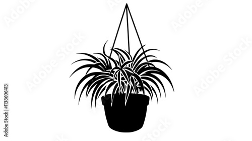 Spider plant with plantlets hanging from the mother plant, Plant Vector Graphic