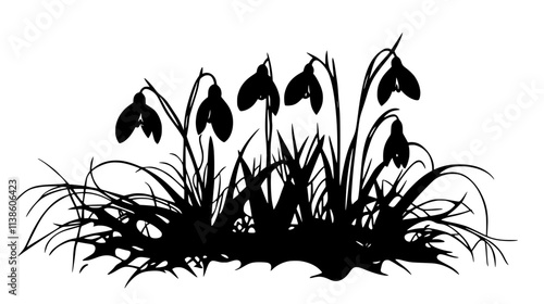 Snowdrops emerging from frozen ground in early spring, Plant Vector Graphic