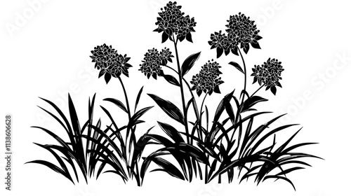 Swamp milkweed growing in a rain garden with native plants, Plant Vector Graphic