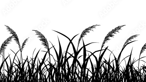 Switchgrass field stretching to the horizon for ethanol production, Plant Vector Graphic