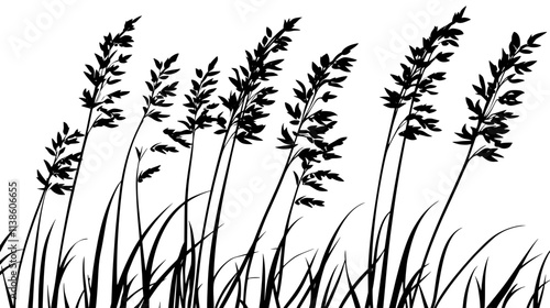 Switchgrass with tall stems and airy seed heads swaying in a breezy field, Plant Vector Graphic
