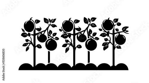 Tomato vines supported by strings in a soilless greenhouse system, Plant Vector Graphic
