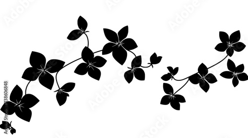 A trailing vine with many small flowers growing along its length, Plant Vector Graphic