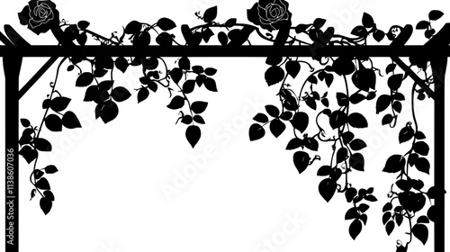 A view of a climbing rose vine growing on a trellis outdoors, Plant Vector Graphic