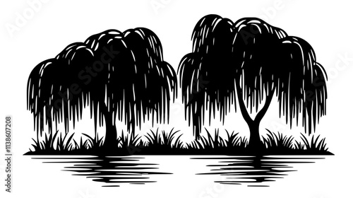 Willow tree with drooping branches swaying beside a calm water source, Plant Vector Graphic