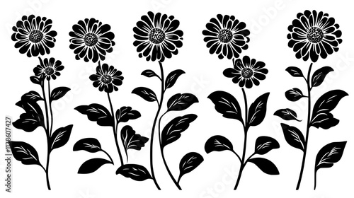 Zinnias growing in a cutting garden with paths between rows, Plant Vector Graphic