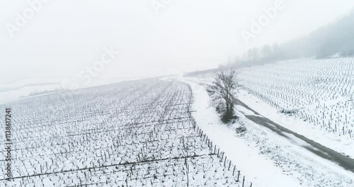 Plan aérien drone de survol des vigne de Bourgogne en hiver sous la neige dans le brouillard