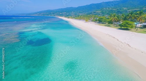 Serene Aerial View of Tropical Beach with Clear Turquoise Waters and Sand