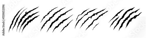 claw marks or scratches logo element on white. vector scratches for tiger, bear, beast, wolf, lion etc wild animals zone concept. wilderness concept.