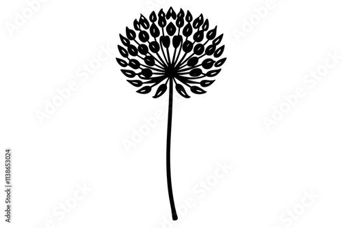 Elegant Line Silhouette Drawing of Allium Flowers Minimalist Botanical Art