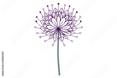 Elegant Line Silhouette Drawing of Allium Flowers Minimalist Botanical Art