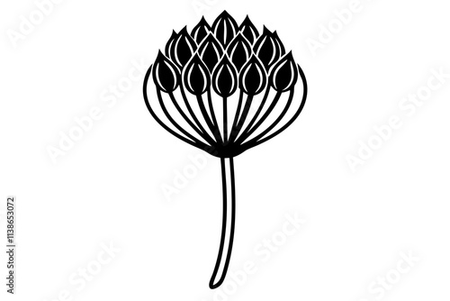 Elegant Line Silhouette Drawing of Allium Flowers Minimalist Botanical Art