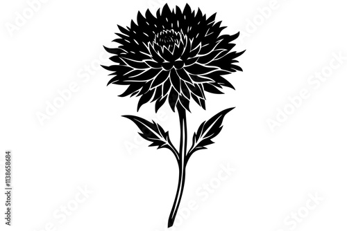 Elegant Line Silhouette Drawing of Bachelor Button Flower – Minimalist Art Illustration