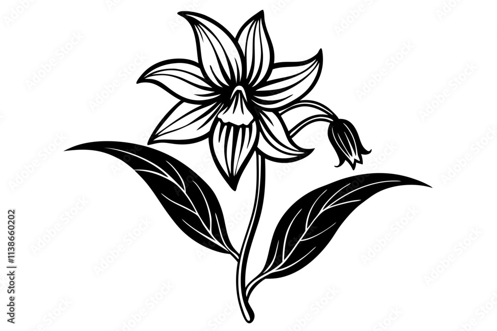Elegant Bellflower Line Silhouette Drawing – Minimalist Art Illustration